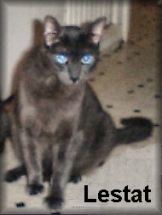 Lestat