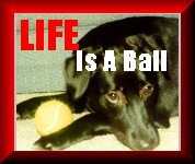 Life Is A Ball By Murphy