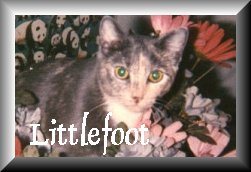 Littlefoot