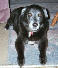 Older Murphy