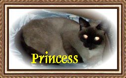 Princess
