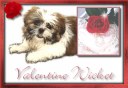 Valentine Wicket