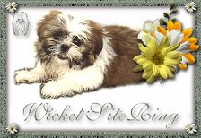 The Wicket SiteRing