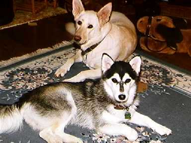 Nika & Flurry