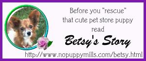 betsy banner