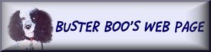 [Buster's Banner]