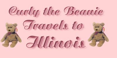 Travel with Curly