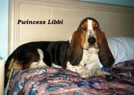 Libbi