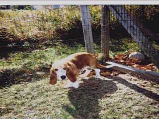 Max