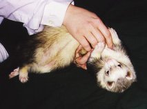 Hey!  Stop ticklin' me!!!