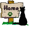 Back Home
