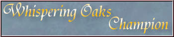 Whispering Oaks Champion