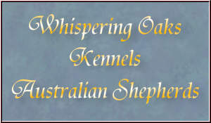 Welcome to the website of Whispering Oaks Kennels