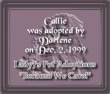 LadyJ's Pet Adoptions