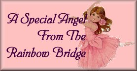 The Rainbow Bridge