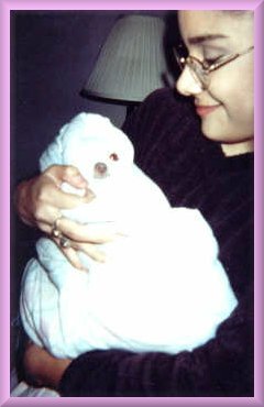 awwww....a baby!