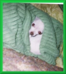 green blanket