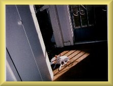 sunbathing in the nude