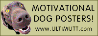 Motivational Dog Posters by UltiMutt.com