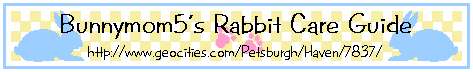 Bunnymom5's Rabbit Care Guide: Enter Here!