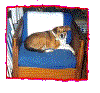 Lois-Bo2.gif (37574 bytes)