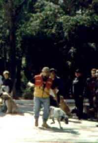 Elliot-Boomie_4.jpg (14292 bytes)