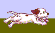 r-pupani.gif (7119 bytes)