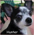 Hunter