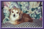 Pebbles