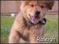 Raleigh