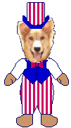 Dixie the Chairdog