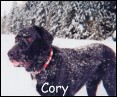 Cory