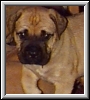 Romeo