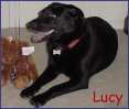 Lucy