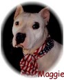 Maggie