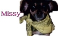 Missy