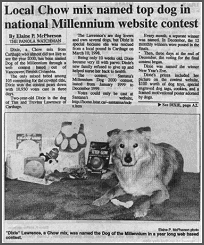 Dixie Wins Santana's Millennium Dog 2000