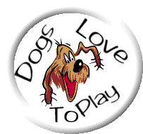Dogs Love to Play