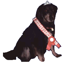 Miss Independence Day