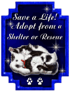 Save a Life