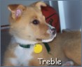 Treble