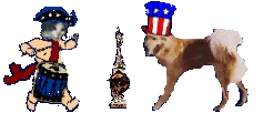 Winner of Last Year's Decorate the Cat Contest