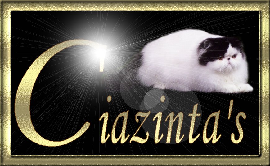 Ciazinta's Cattery