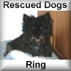 Rescued Dogs Ring