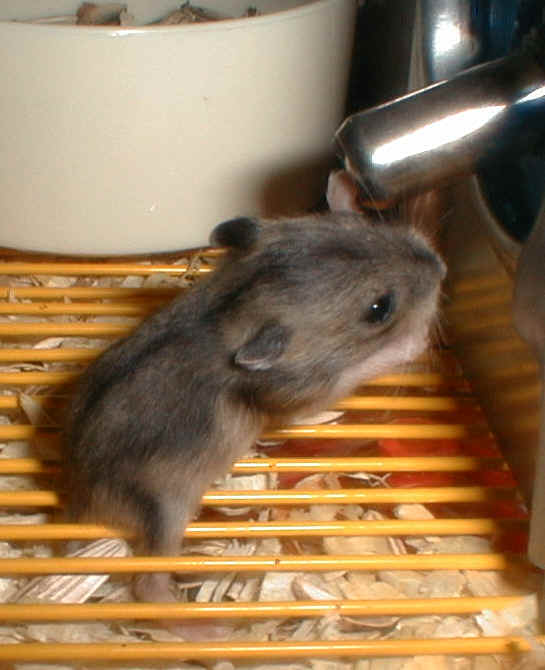 Curious baby