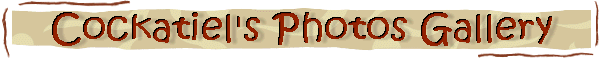 cophotos.gif (9544 bytes)