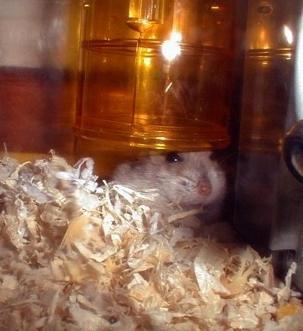 Ki Ki loves tubes, too.