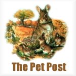 The Pet Post Webring Home