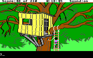 A hidden tree house