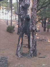 boom.gif (86830 bytes)